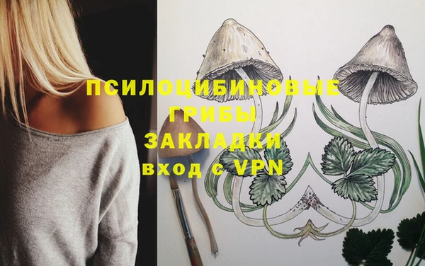 круглые Бородино